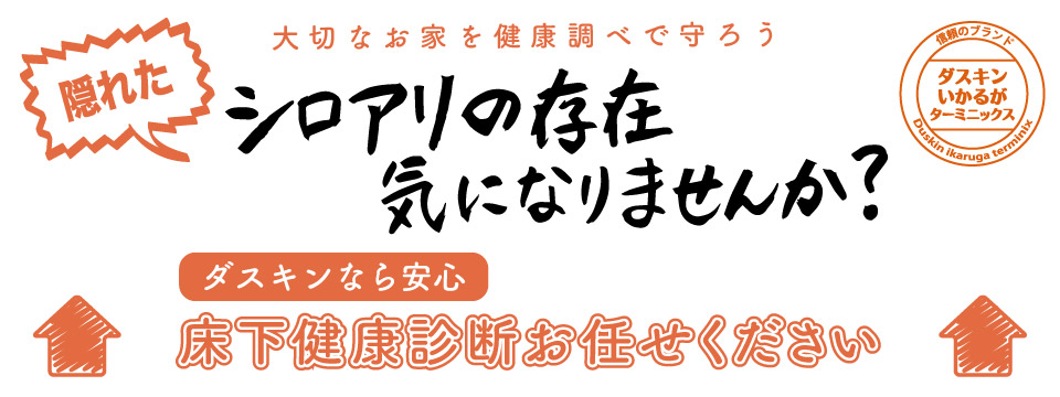 お家の健康診断おためし価格